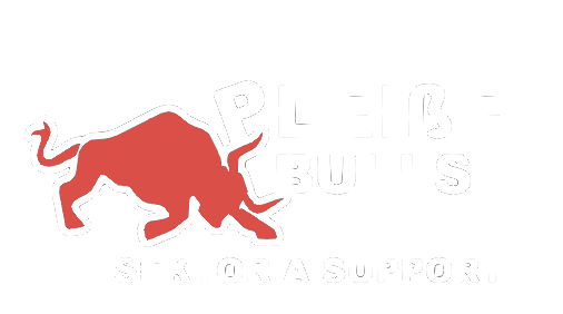 Logo Pleissebulls